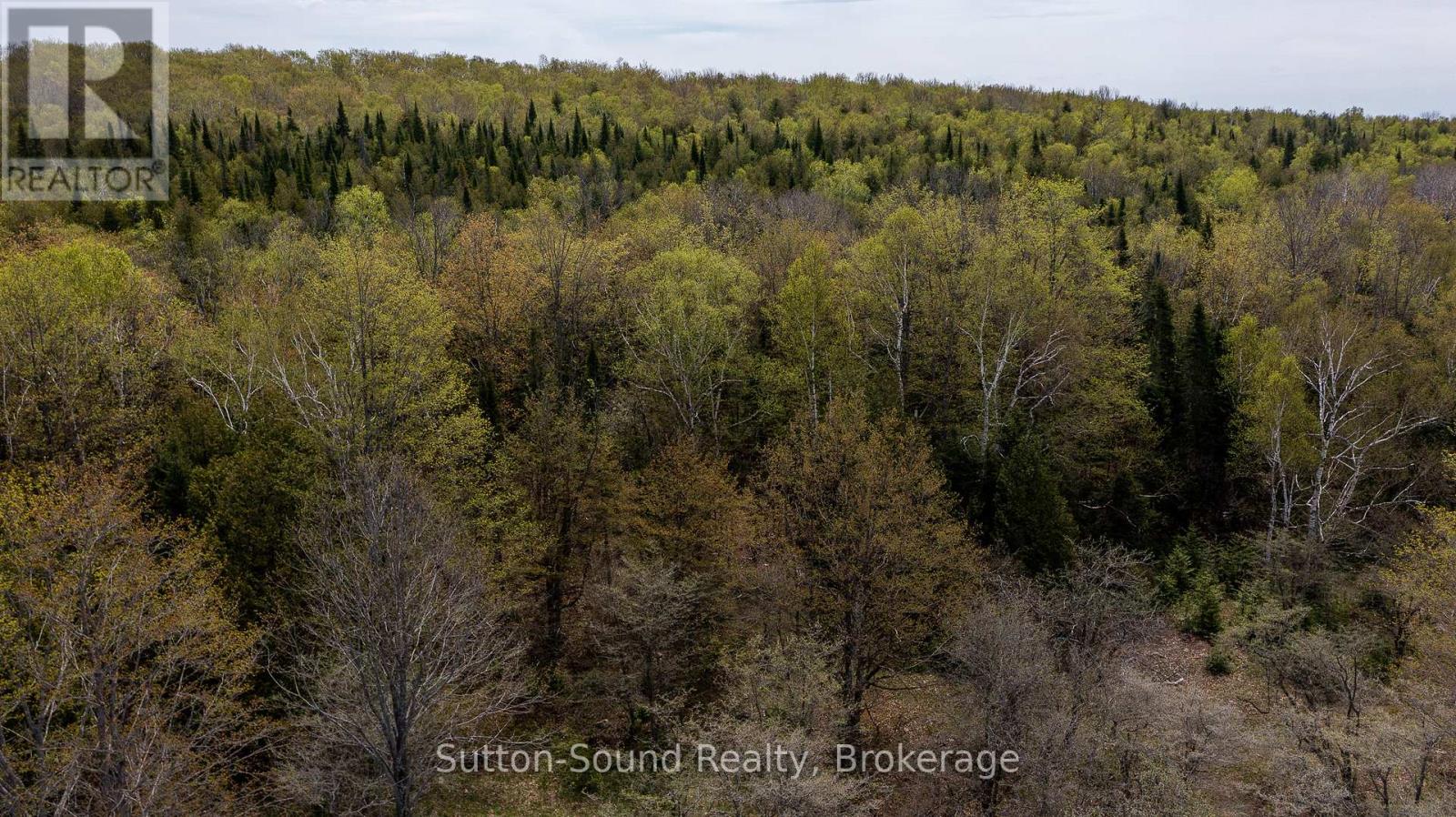 502054 GREY RD 1 999 ROAD