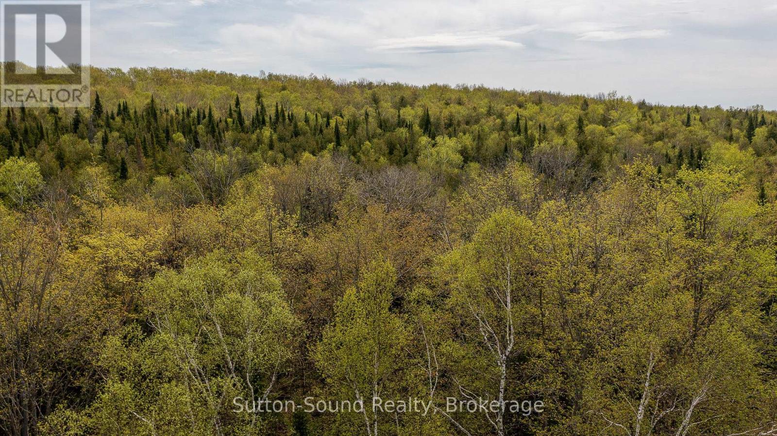 502054 GREY RD 1 999 ROAD