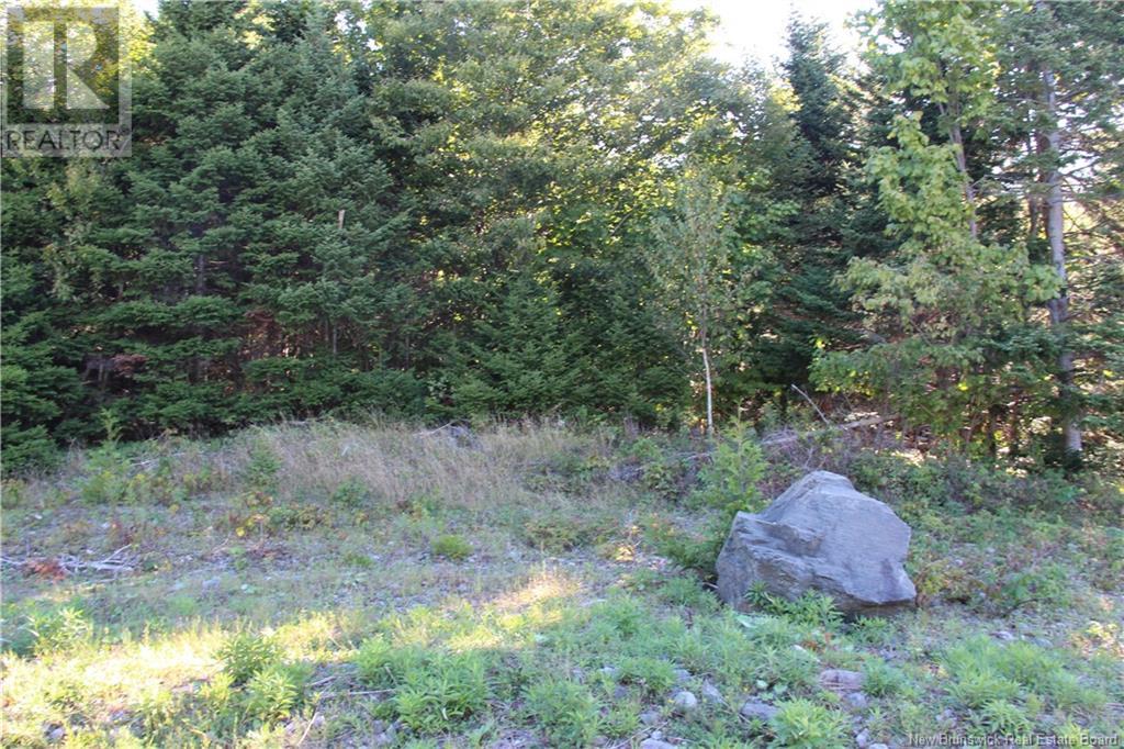 00 Shoreline Drive - Photo 3