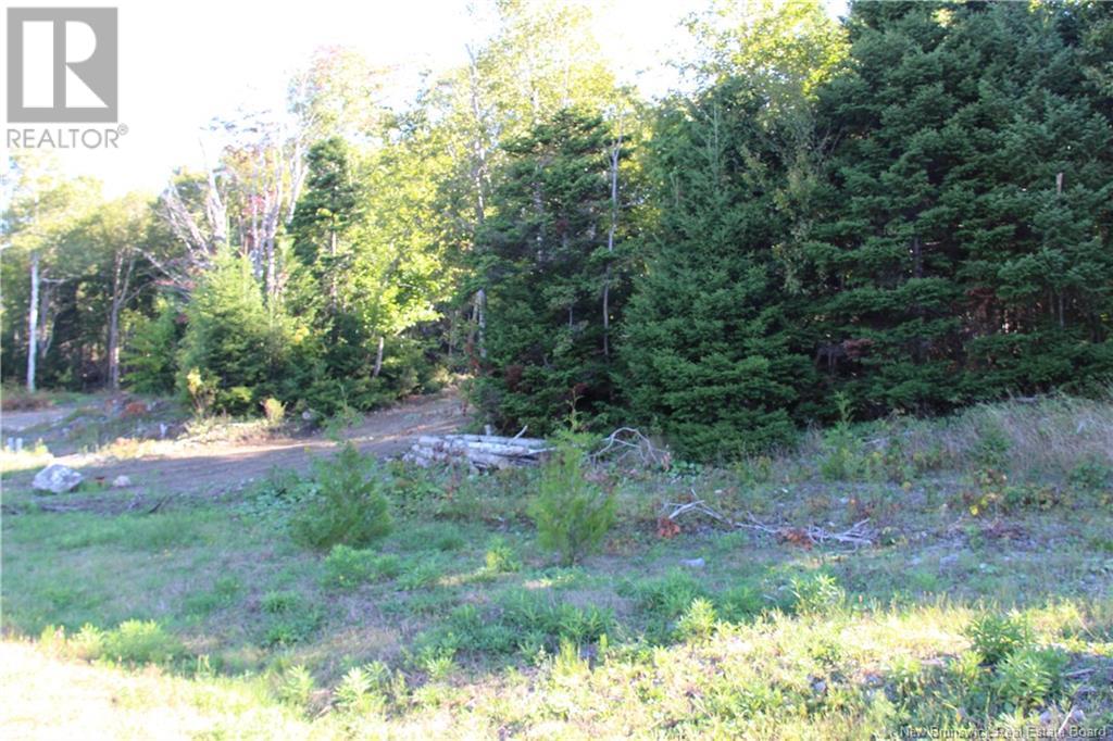 00 Shoreline Drive - Photo 2