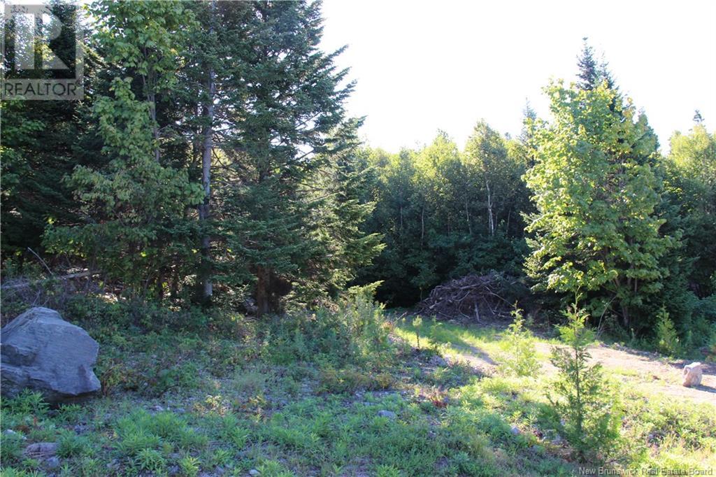 00 Shoreline Drive - Photo 4