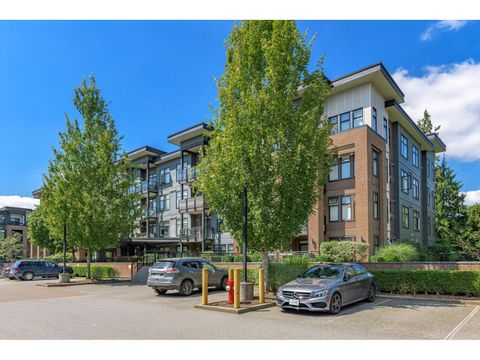 312 20062 FRASER HIGHWAY Langley BC V3A0E6