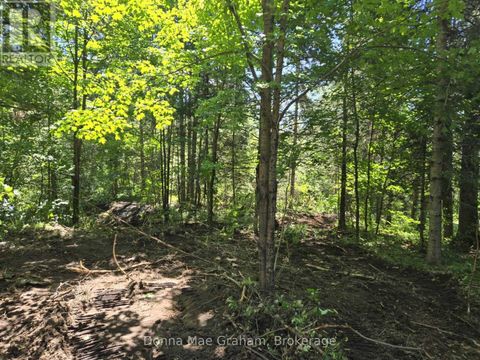 0 HWY 503 HIGHWAY E Highlands East (Glamorgan) ON K0M1R0