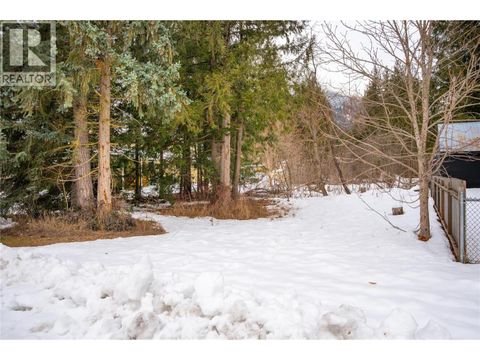 1206 Carlson Street Revelstoke BC V0E2S0