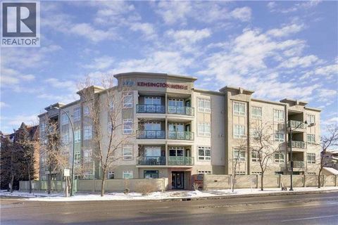 202, 2 14 Street NW Calgary AB T2N1Z4