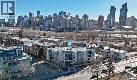 202, 2 14 Street NW Calgary AB T2N1Z4