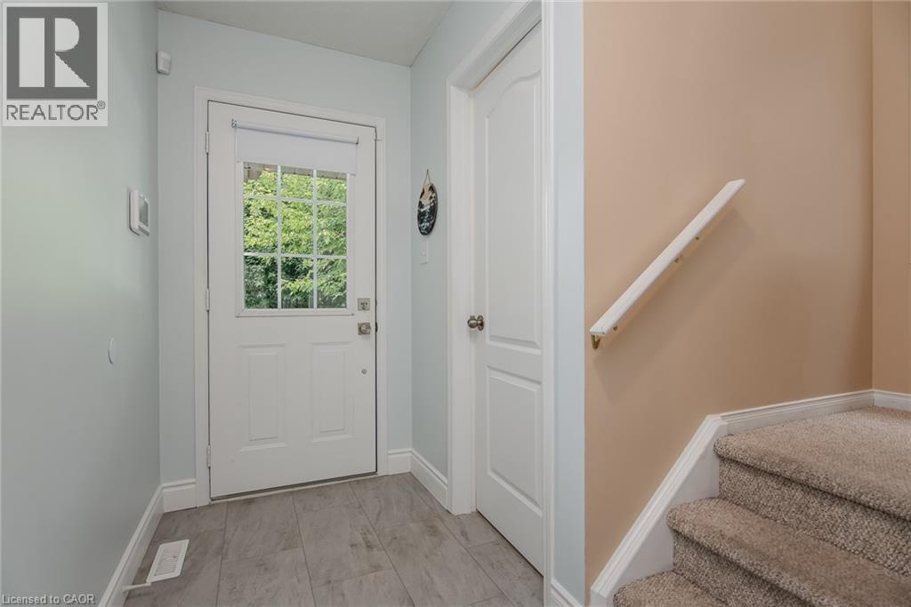 384 PASTERN Trail
