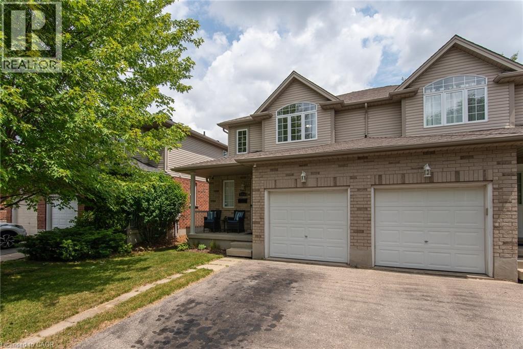 384 PASTERN Trail