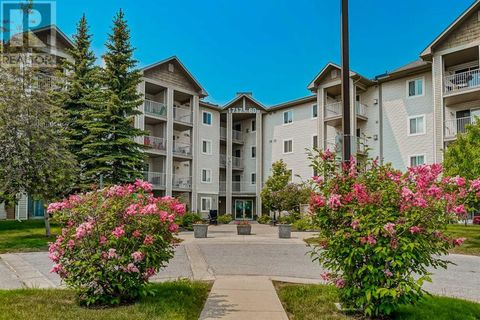 205, 1717 60 Street SE Calgary AB T2A7Y7