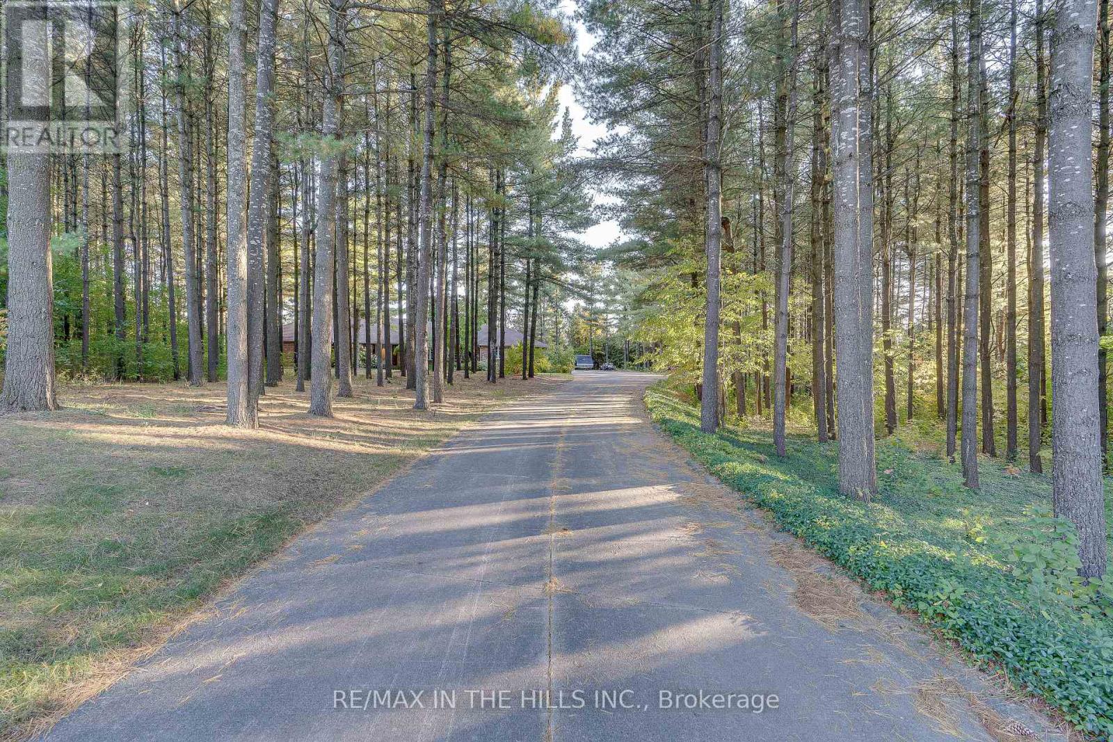 41 PINE RIDGE ROAD
