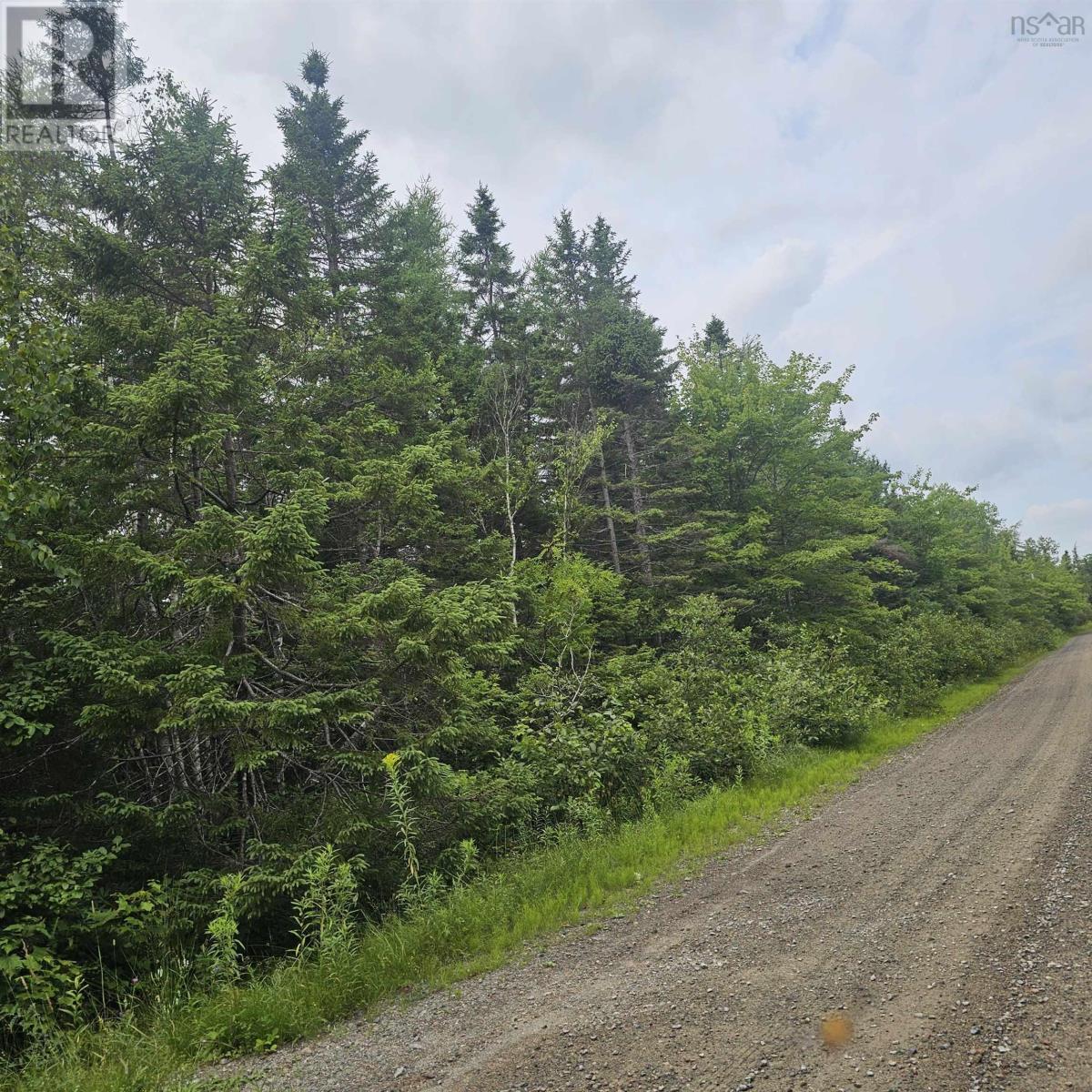 Photo 1 of 12 — - Alder Road, Dutch Brook, NS B1M1B2