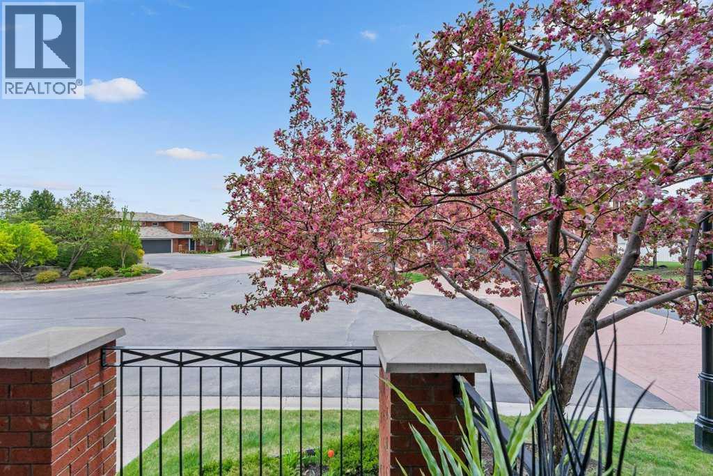 50 Prominence Path SW