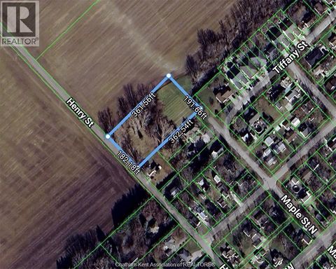 19 Henry STREET North Ridgetown ON N0P2C0