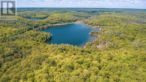 2368 ESSONVILLE LINE ROAD Highlands East (Monmouth) ON K0L3C0