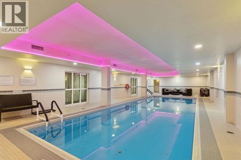 313, 339 13 Avenue SW Calgary AB T2R0K3