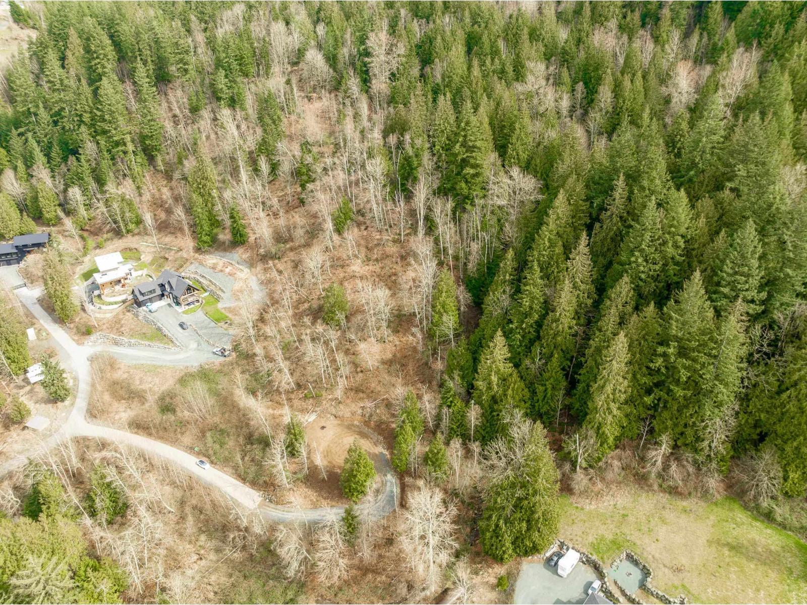 48875 ELK VIEW ROAD|Ryder Lake