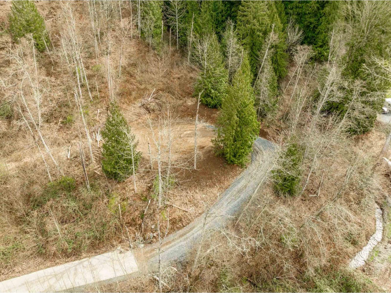 48875 ELK VIEW ROAD|Ryder Lake