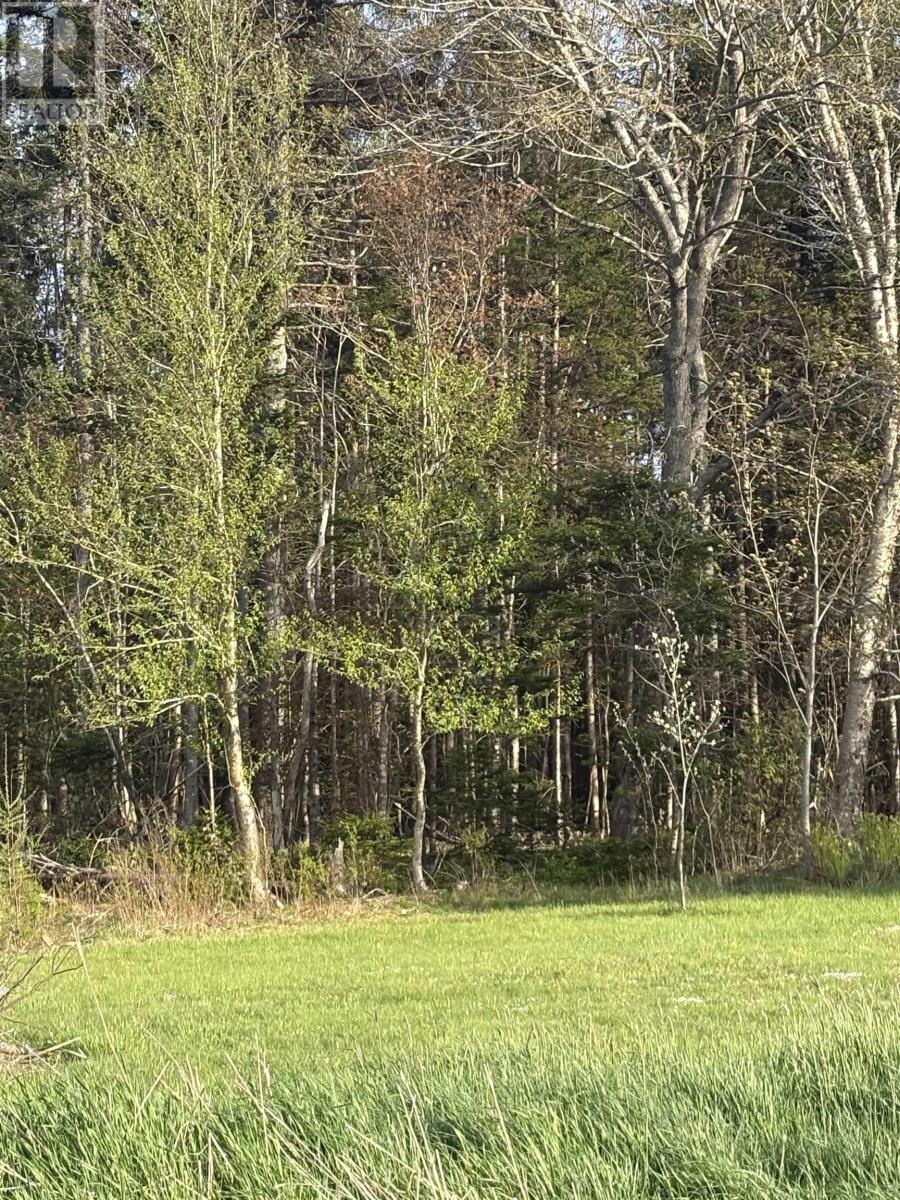 LOT 279 Beaver Bank Road