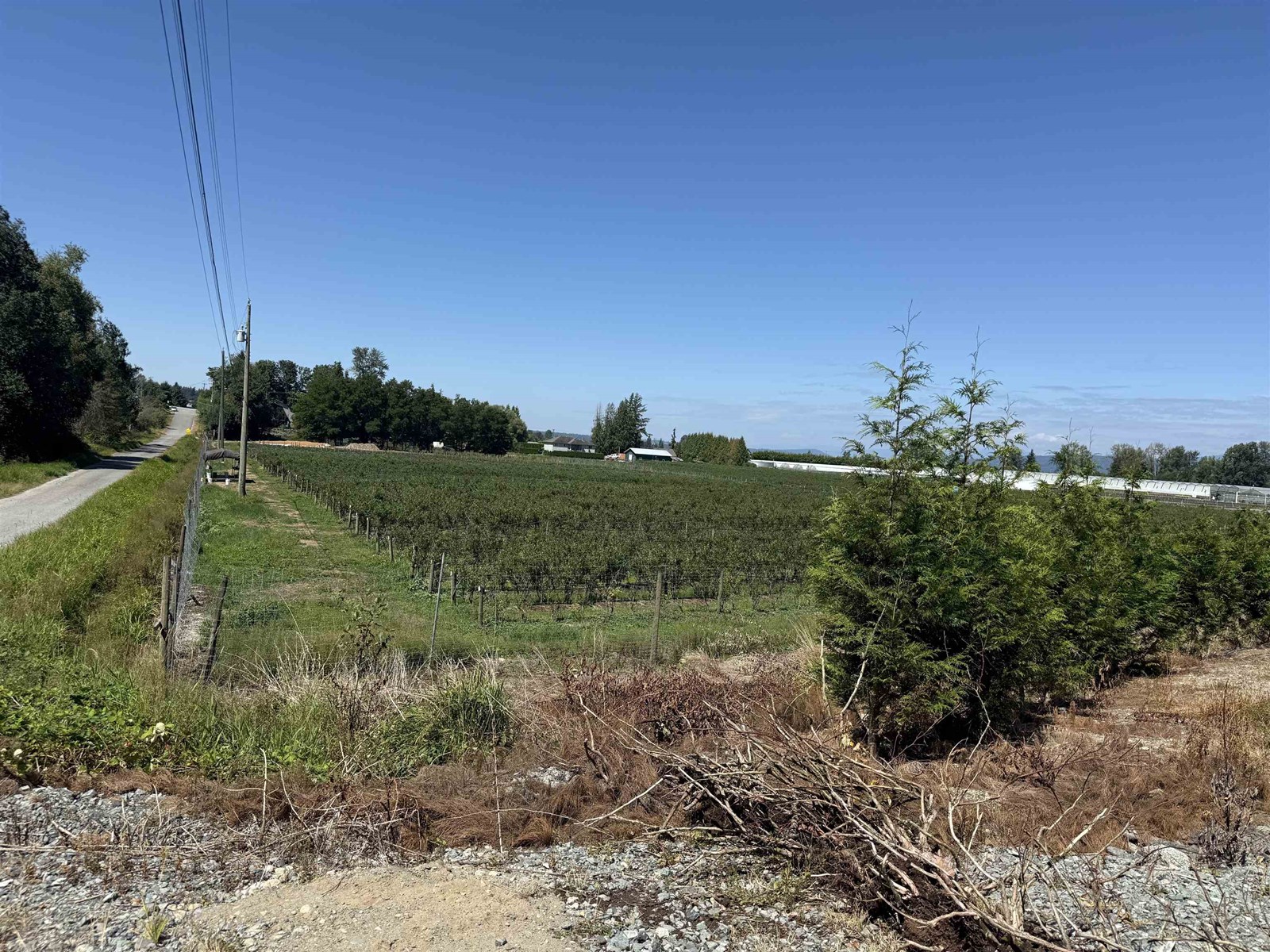 34861 BATEMAN ROAD