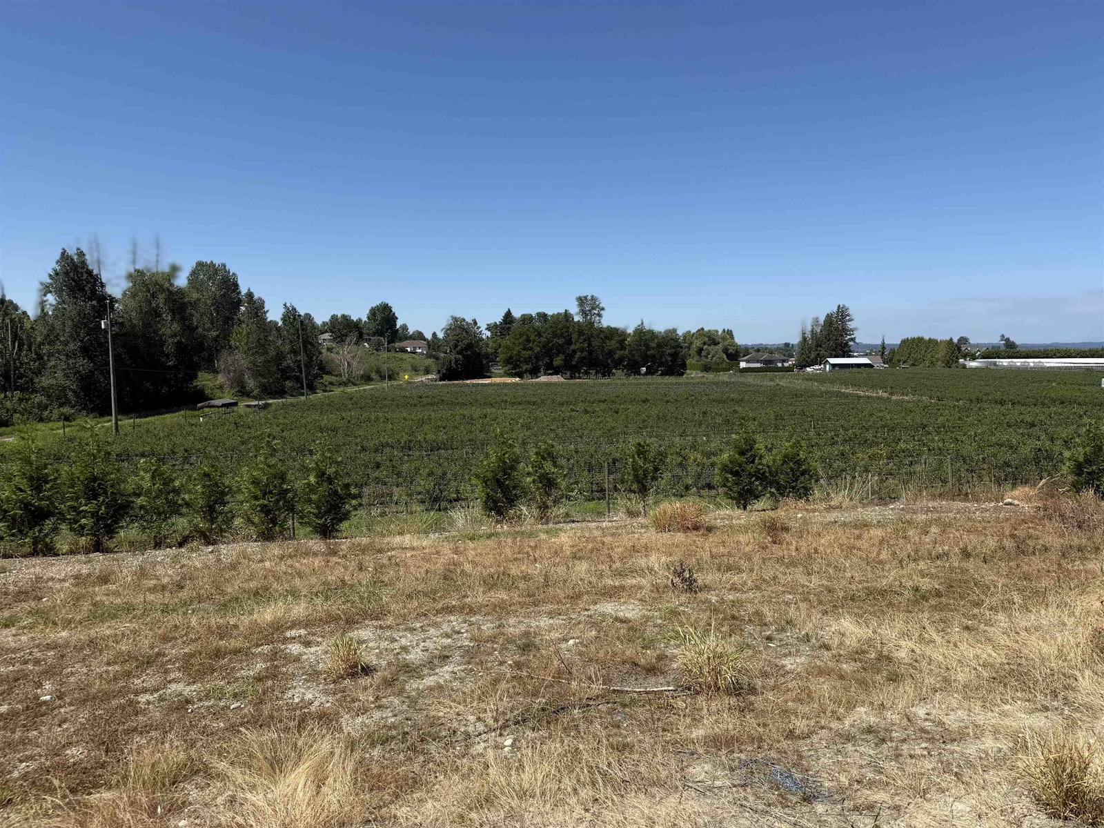 34861 BATEMAN ROAD