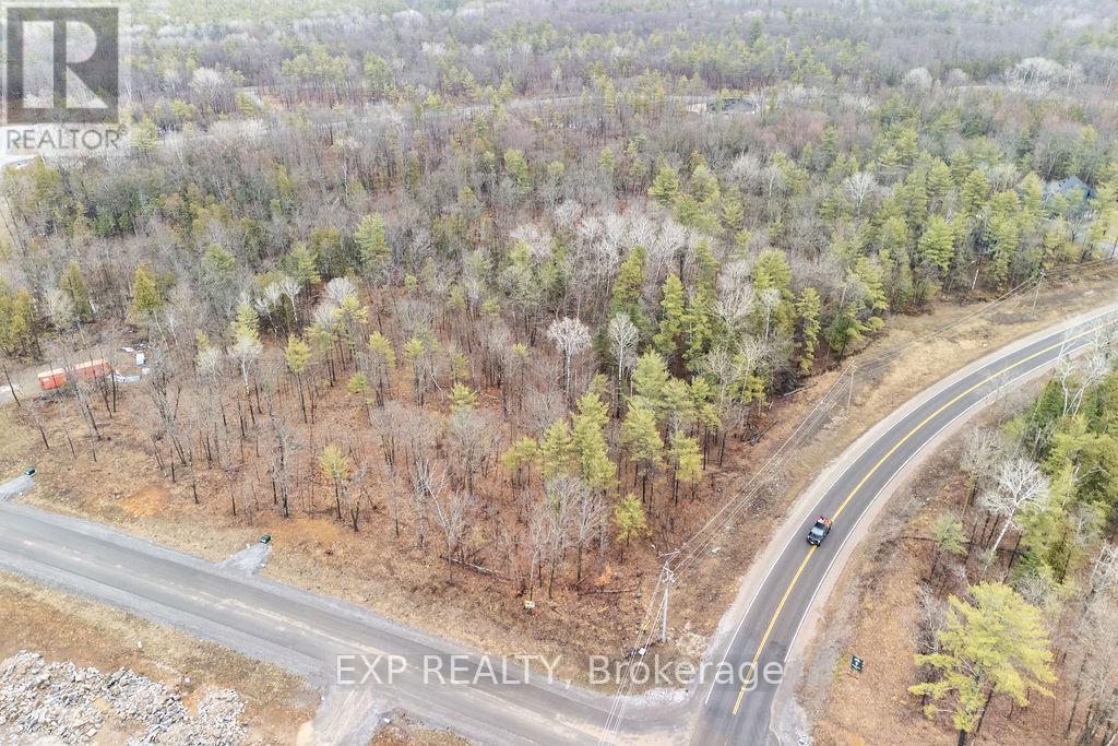 00 BLACK SPRUCE COURT