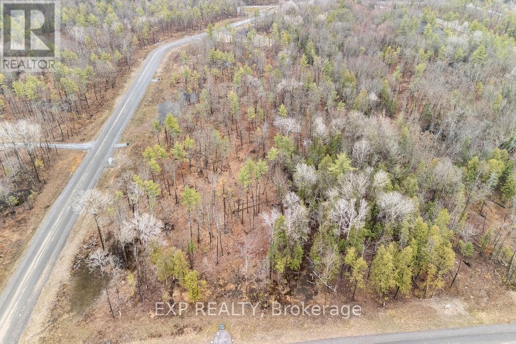 00 BLACK SPRUCE COURT