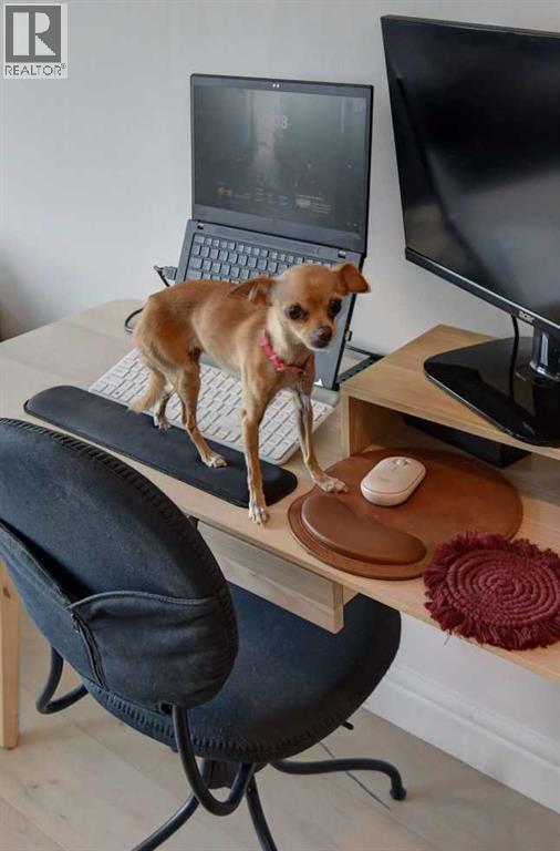 903, 817 15 Avenue SW