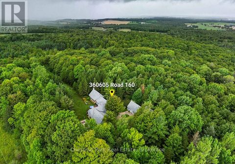 360605 160 ROAD Grey Highlands ON N0C1H0
