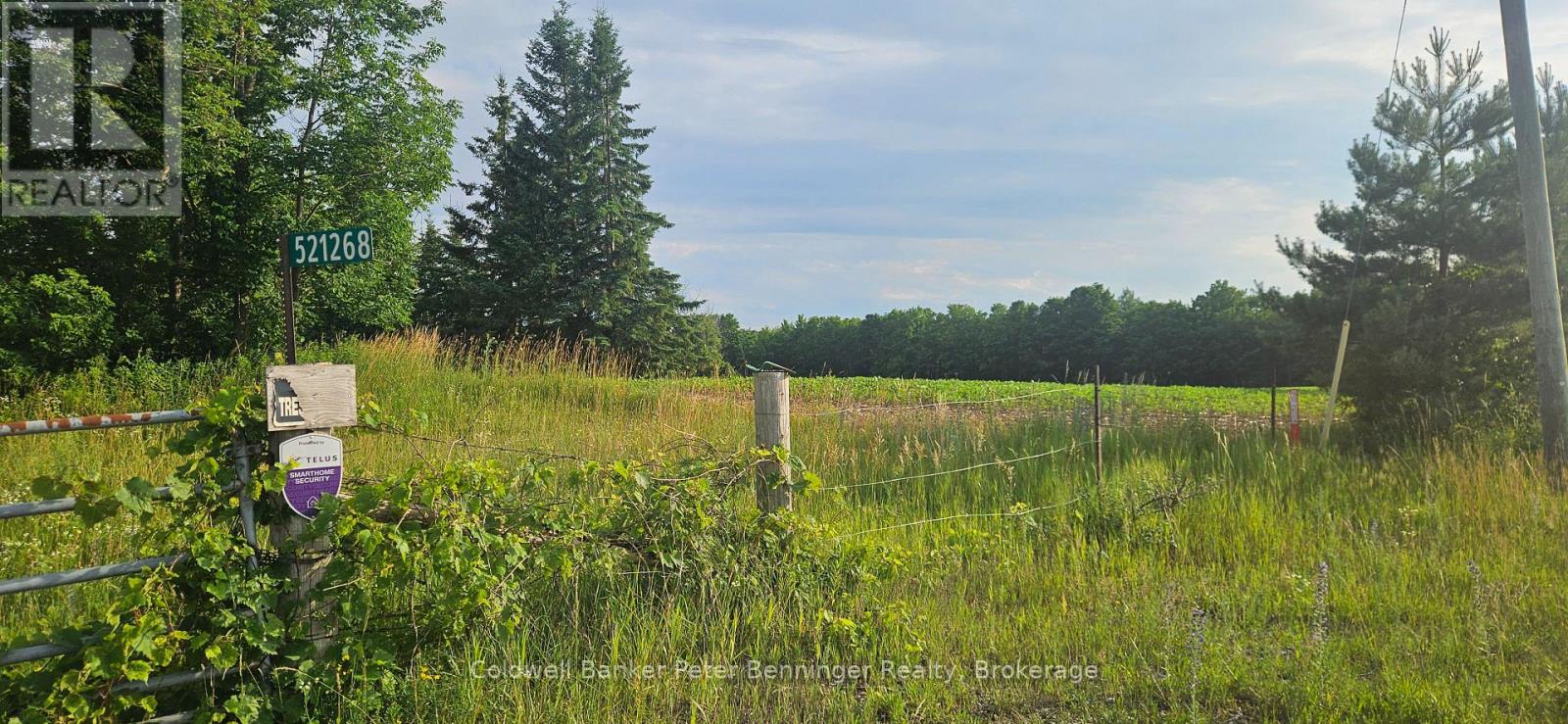 521268 CONCESSION 12 N