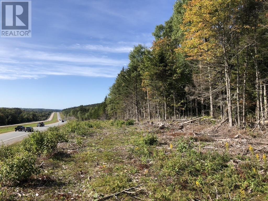 Acreage NO 101 Highway