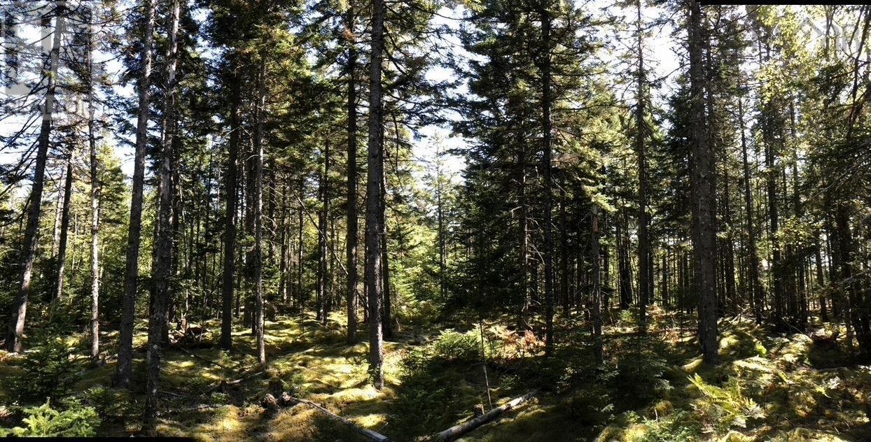 Acreage NO 101 Highway