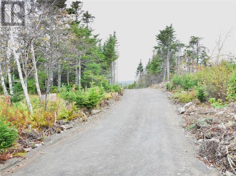 Lot 3 Second Pond Road Shearstown / Butlerville NF A0A1G0