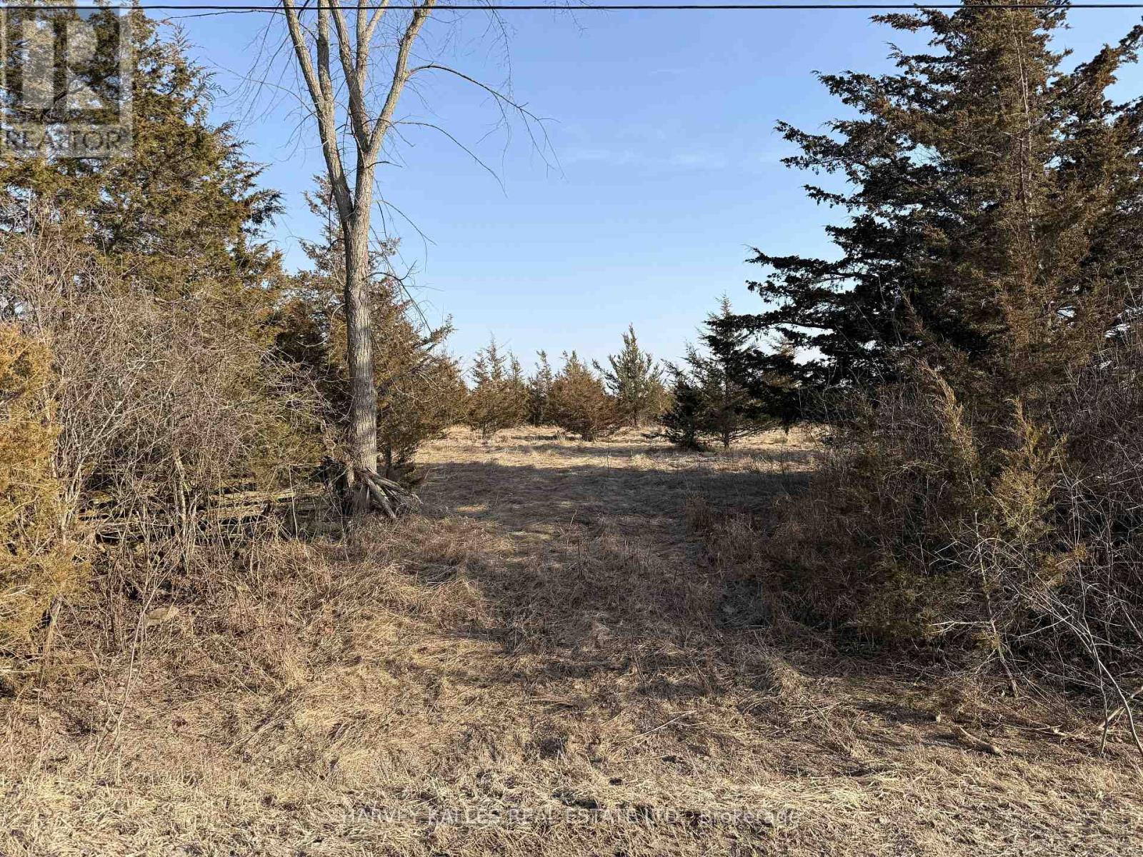 LOT 63 ORAM ROAD