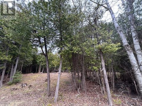 00 SNOWDONS CORNERS ROAD Merrickville-Wolford ON K0G1N0