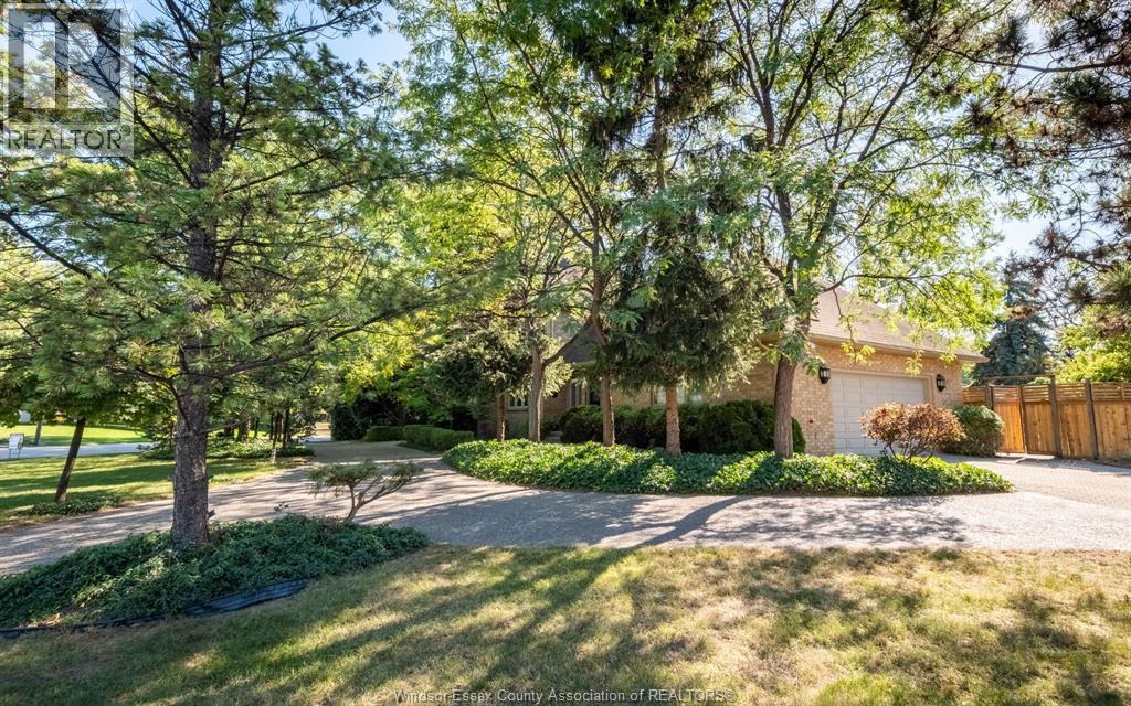 379 ELMGROVE DRIVE