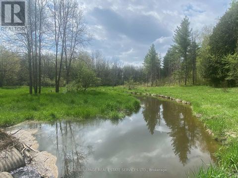 PT LOT 13 CONCESSION 7 CONCESSION Georgian Bluffs ON N4K5N5