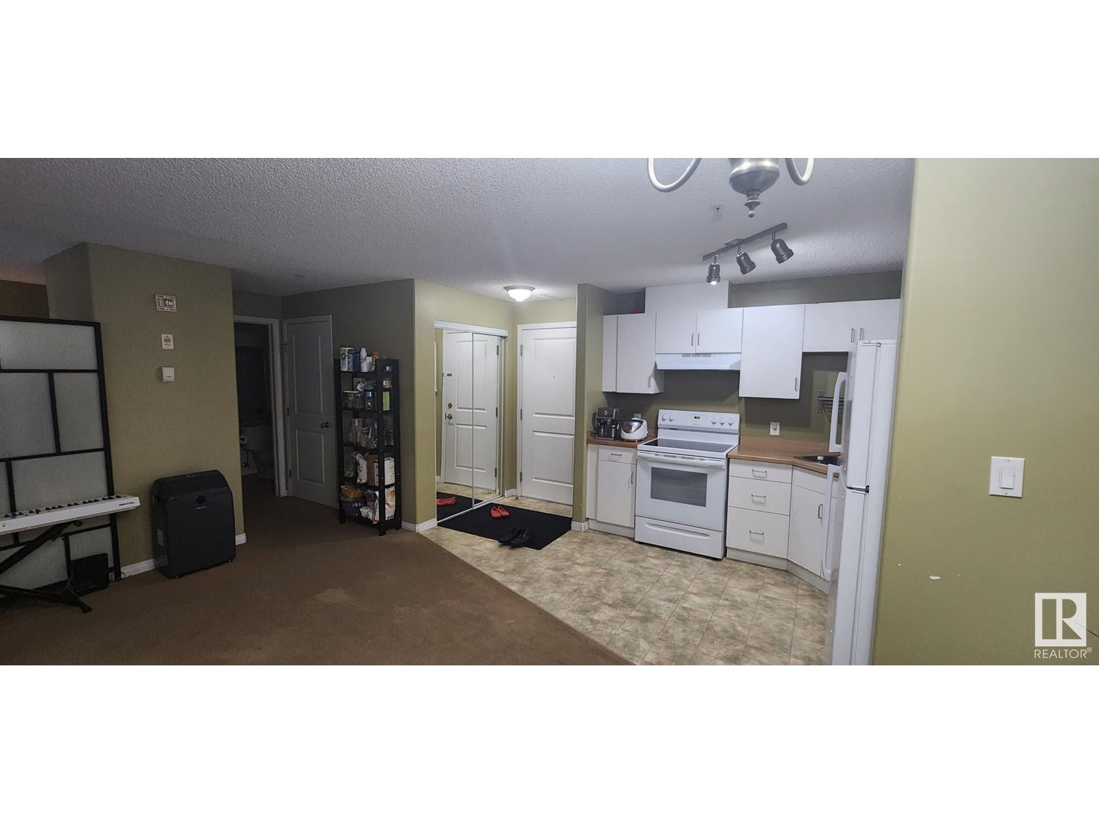 #231 11325 83 ST NW