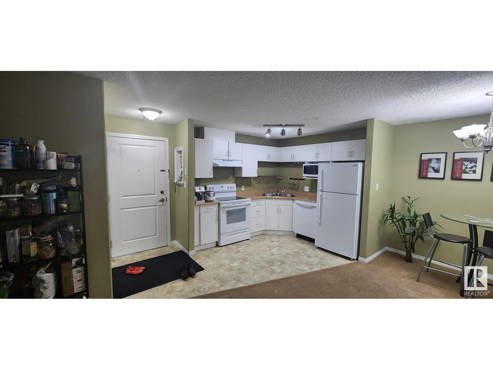 #231 11325 83 ST NW