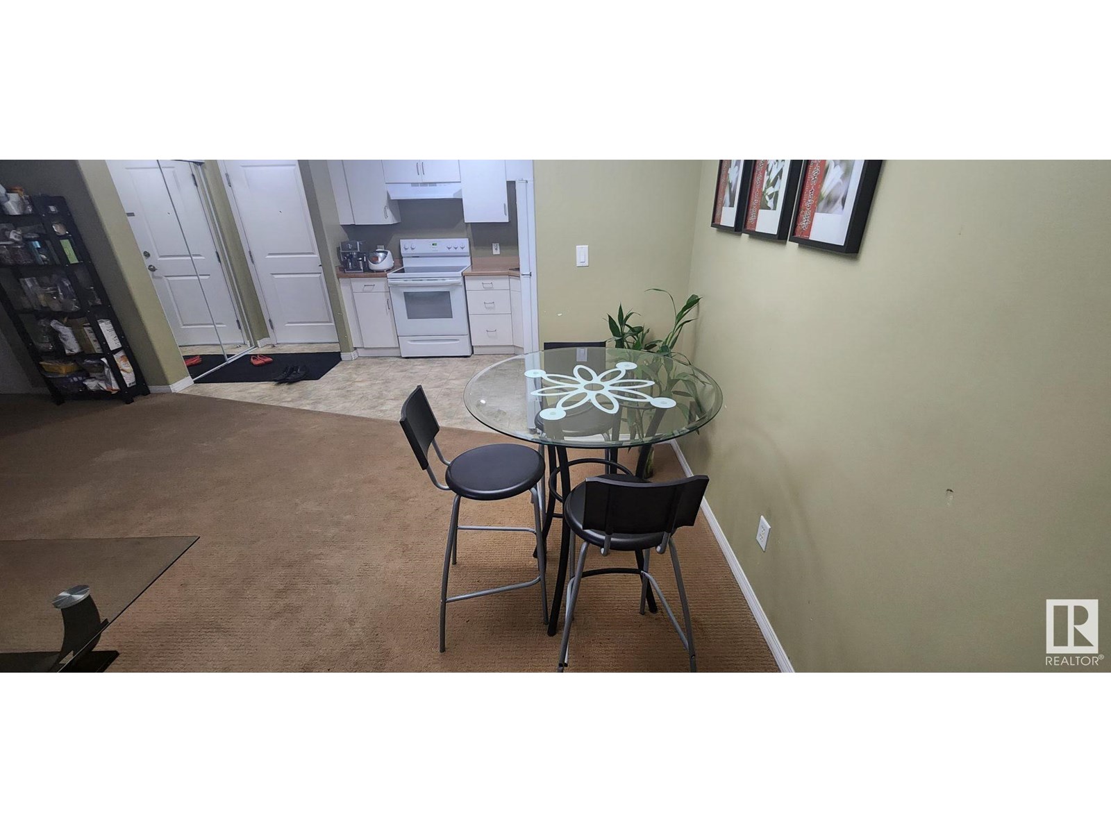 #231 11325 83 ST NW