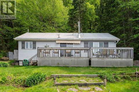 3637 MADAWASKA ROAD South Algonquin ON K0L2R0