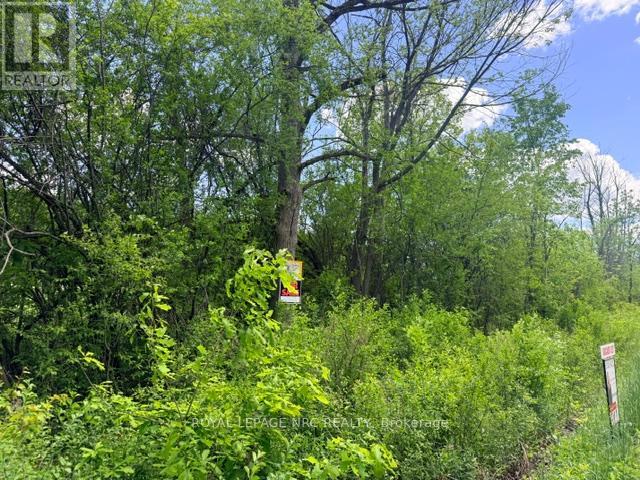 V/L CENTRALIA AVENUE N