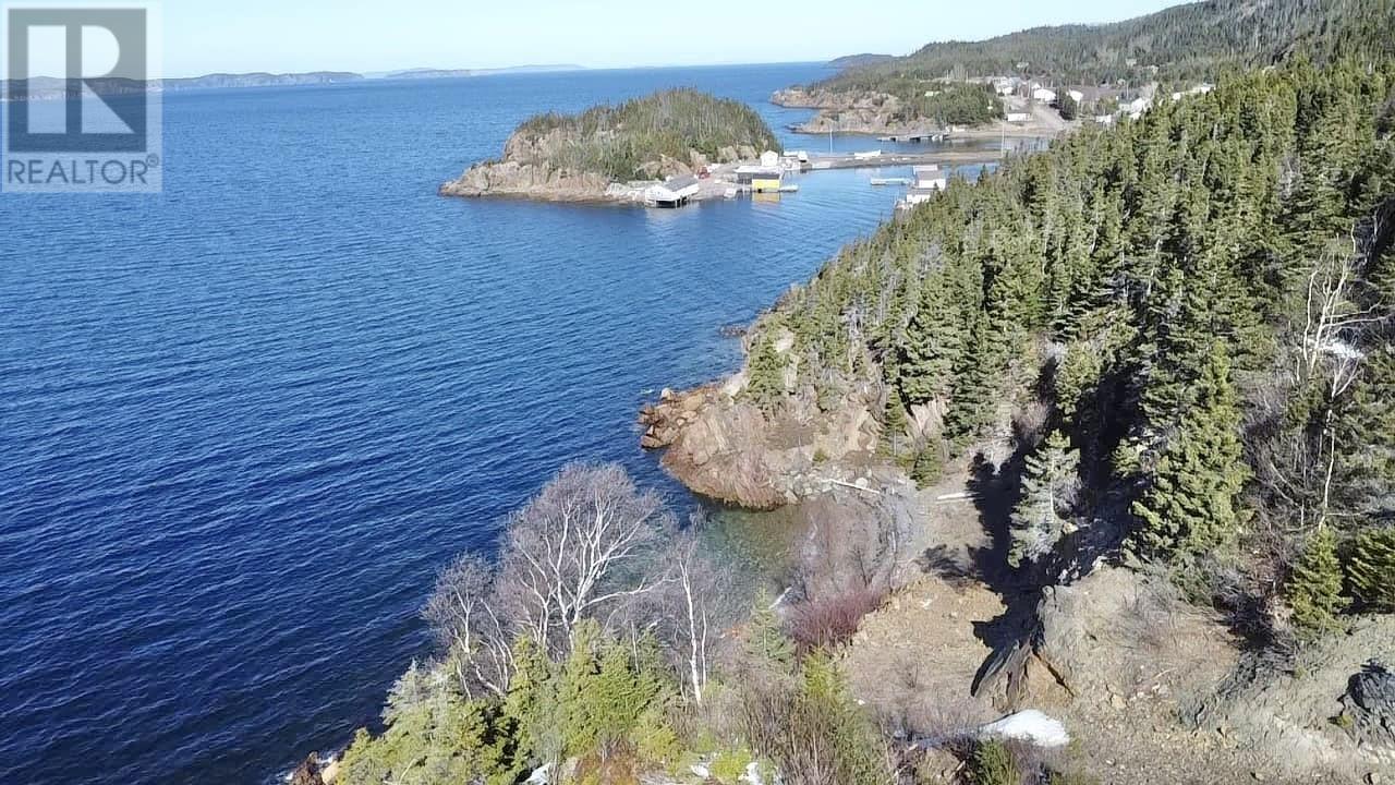 31 Moore's Cove Road