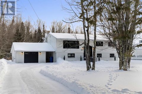 99 Havilland Shores DR Havilland ON P0S1E0