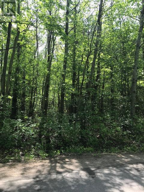 0 GRAHAM LAKE ROAD