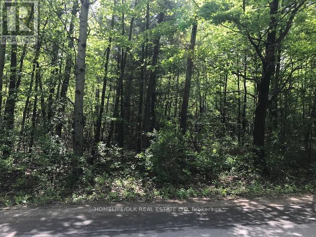 0 GRAHAM LAKE ROAD