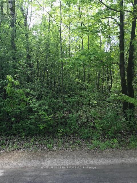 0 GRAHAM LAKE ROAD