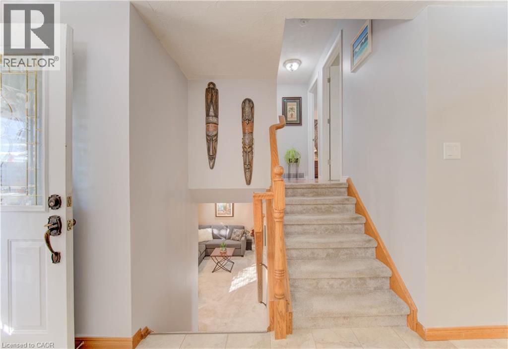 55 GRACEFIELD Crescent