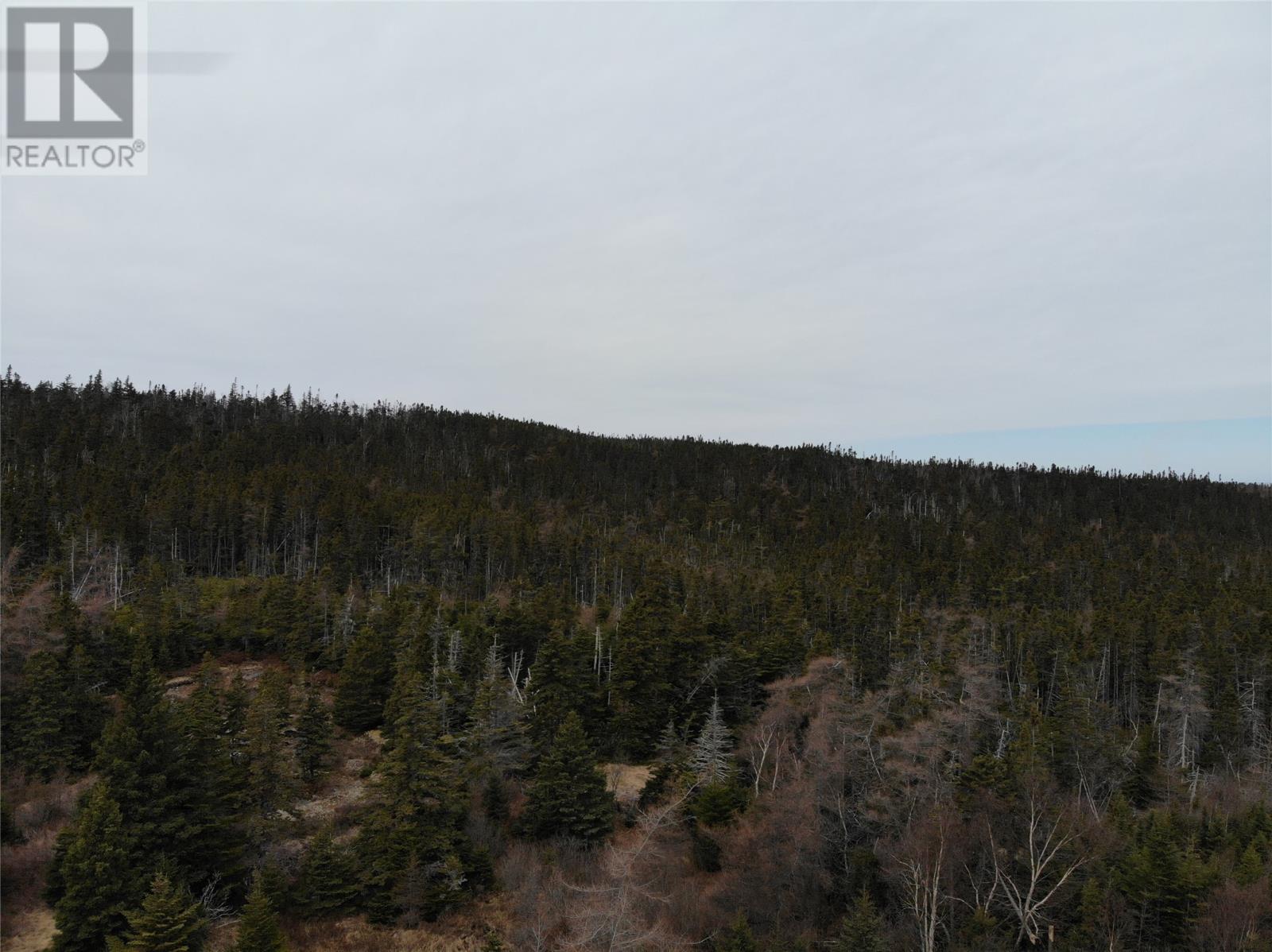 76 - 84 Conception Bay Highway
