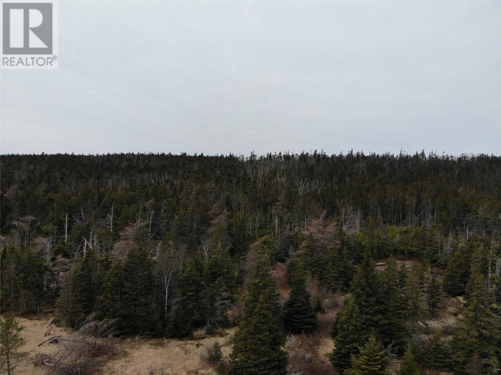 76 - 84 Conception Bay Highway