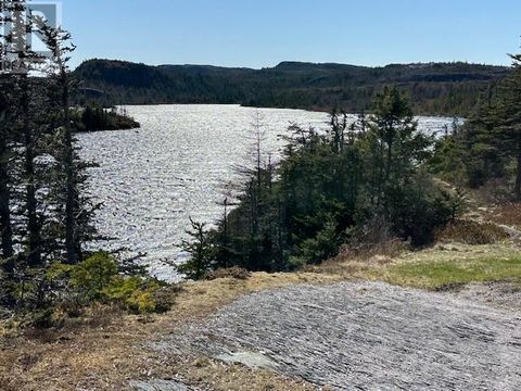 954 WESTERN BAY Line WESTERN BAY NF A0A4J0